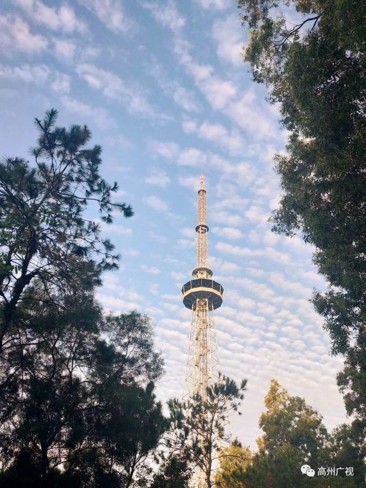 笔架山,高州市,森林公园