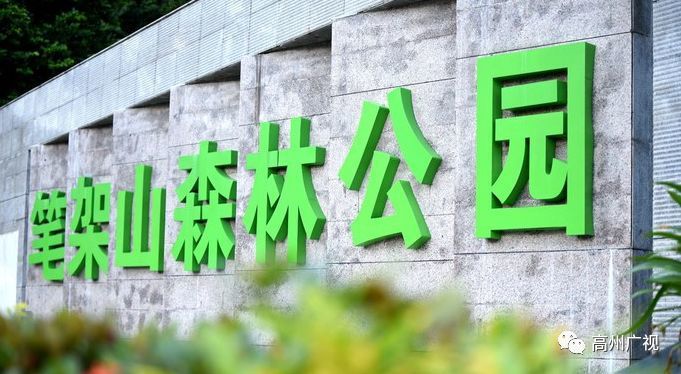 笔架山,高州市,森林公园