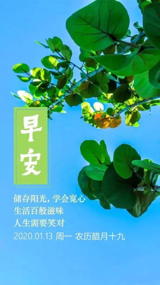 储存阳光,学会宽心, 生活百般滋味,人生需要笑对! 新的一周,早安!