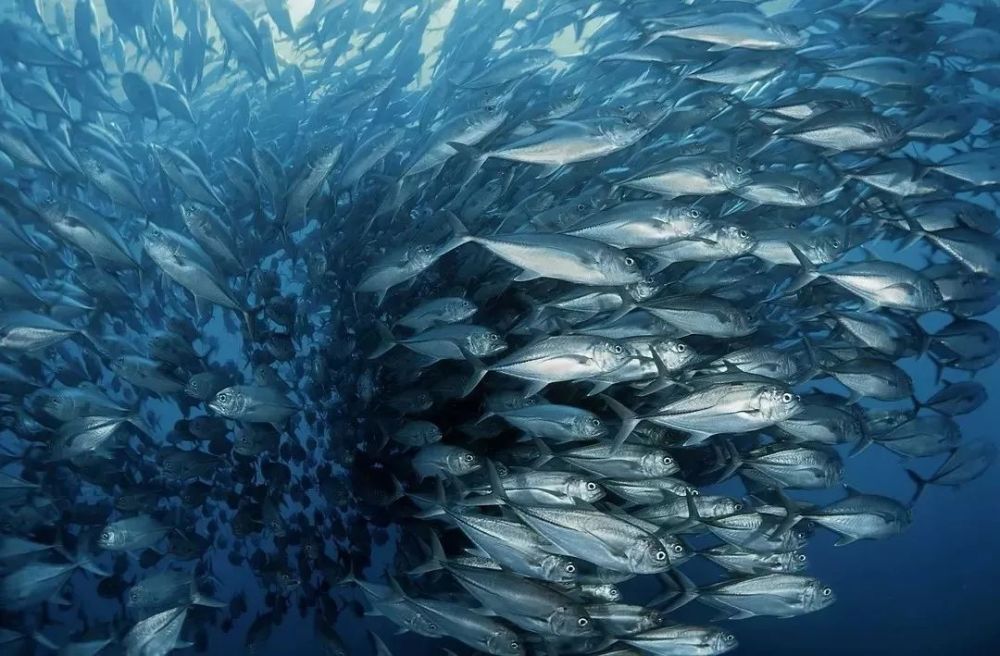 海洋科学:我的征途是星辰大海