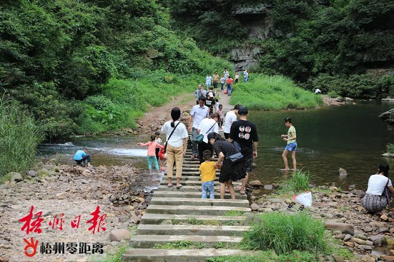 石表山景区创建国家5a级旅游景区,加快推动苍梧县六堡镇特色小镇,岑溪