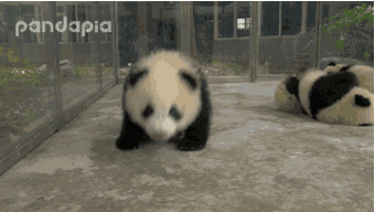 回顾