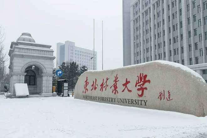 东北三省,哈尔滨工业大学,高校,211大学,高考,延边大学,长春理工大学