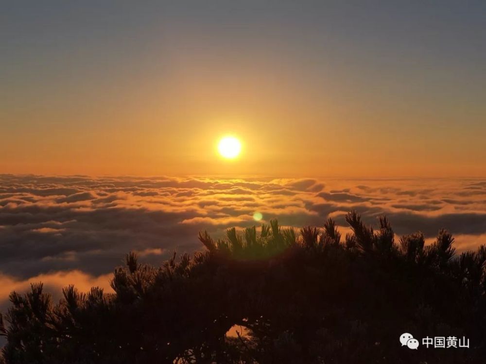 黄山日出雾凇云海佛光齐上阵!