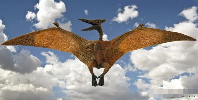 翼龙可以飞,为什么还是没逃过恐龙大灭绝呢?真相让人不敢相信!