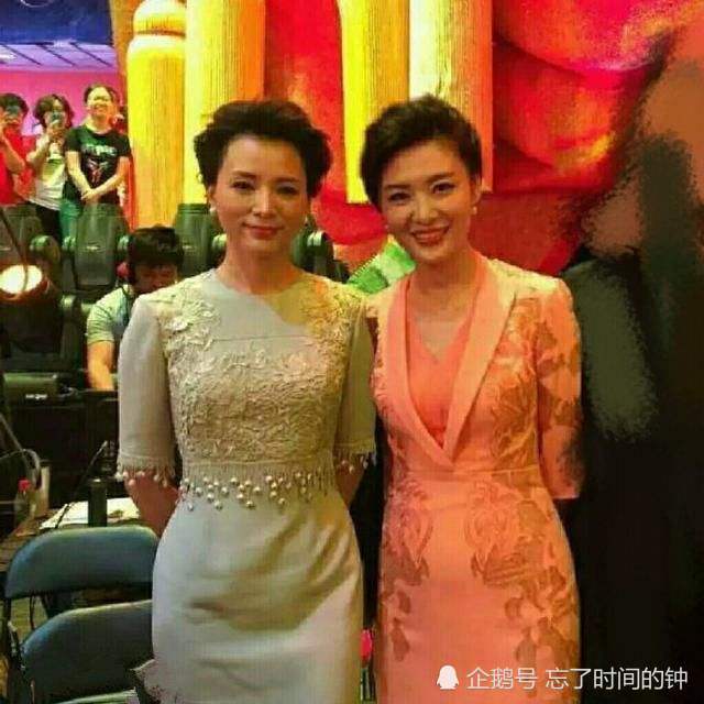 周涛,朱军,董卿,春晚,尼格买提