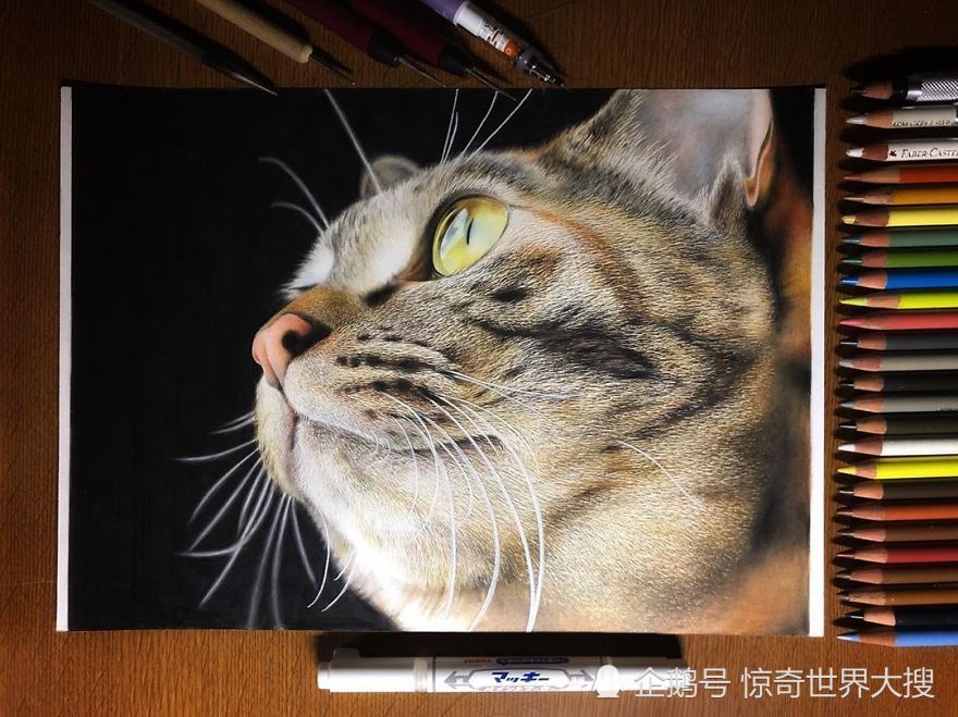 日本18岁艺术家画出堪比照片的猫咪画
