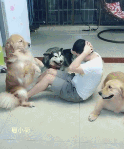 搞笑gif趣图:前女友结婚,含着泪给她送去爱心午餐!