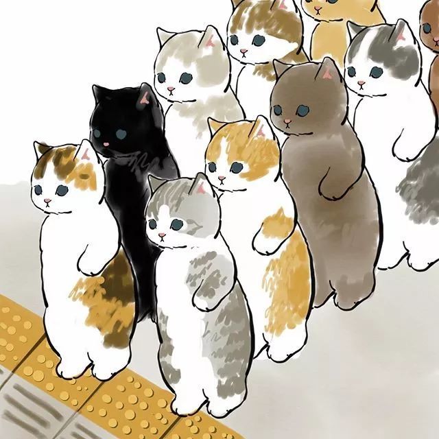 来自日本的插画师 @mofu_sand,在ins上分享了一系列的猫猫漫画.