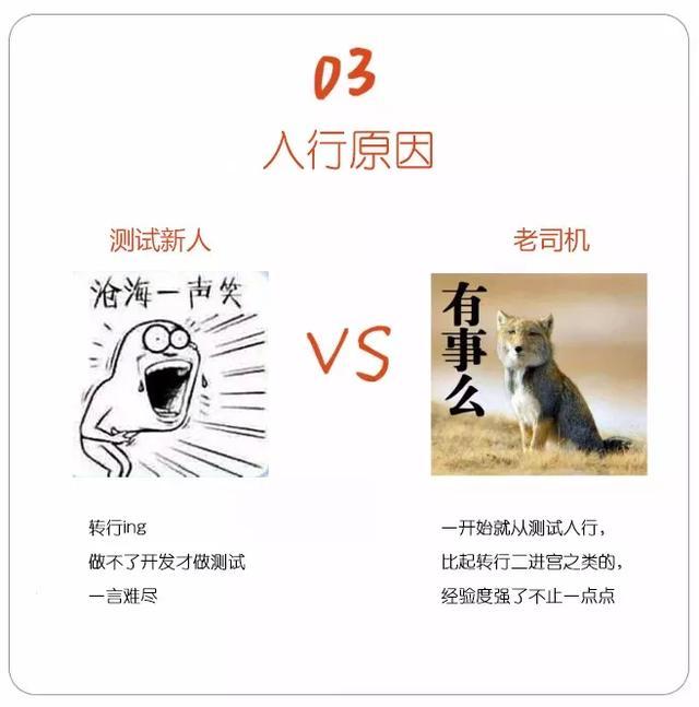 软件测试,趣图,加班,背锅,搞笑