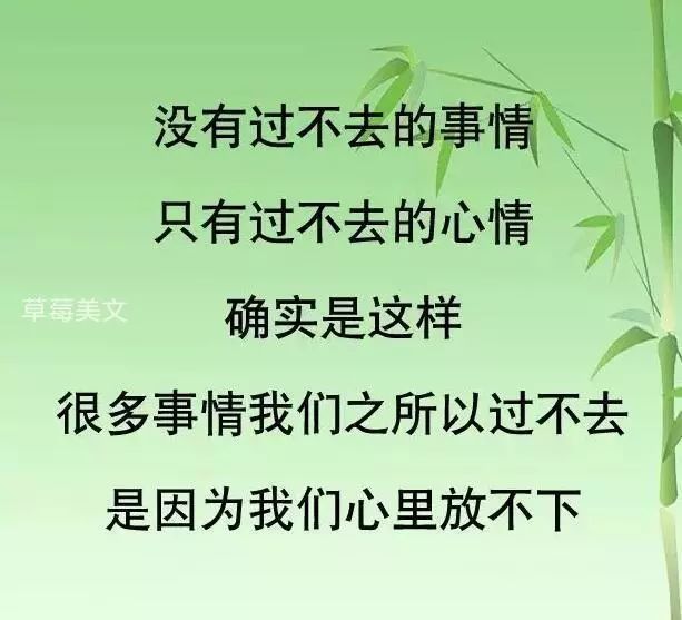 人啊,心态好,一切都好!累了,烦了,看看这些话