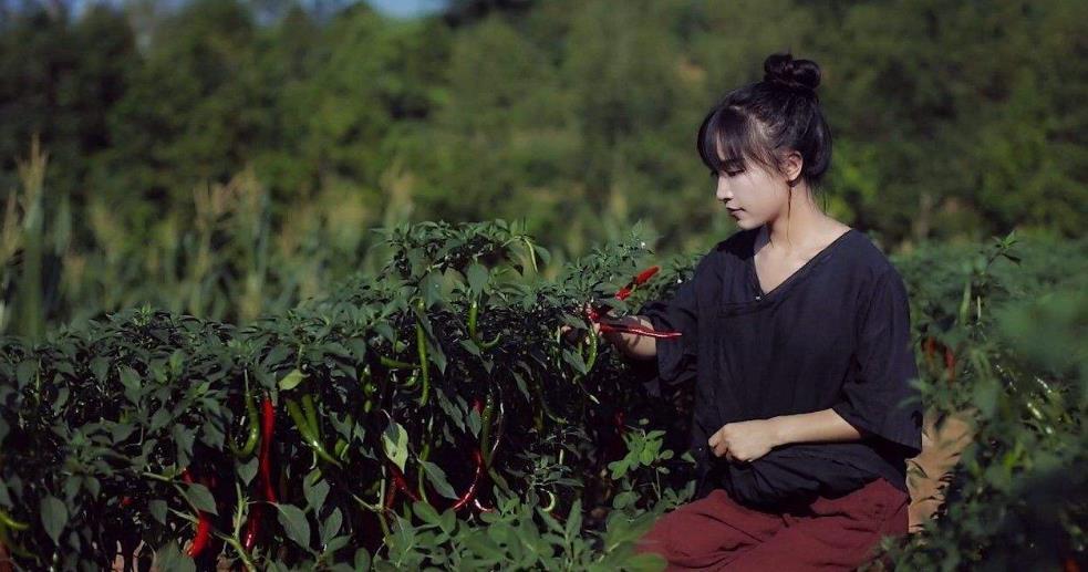 李子柒,中华传统文化,国外影响力