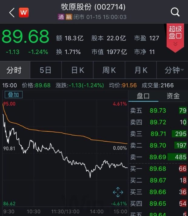 业绩预增,牧原股份,股价