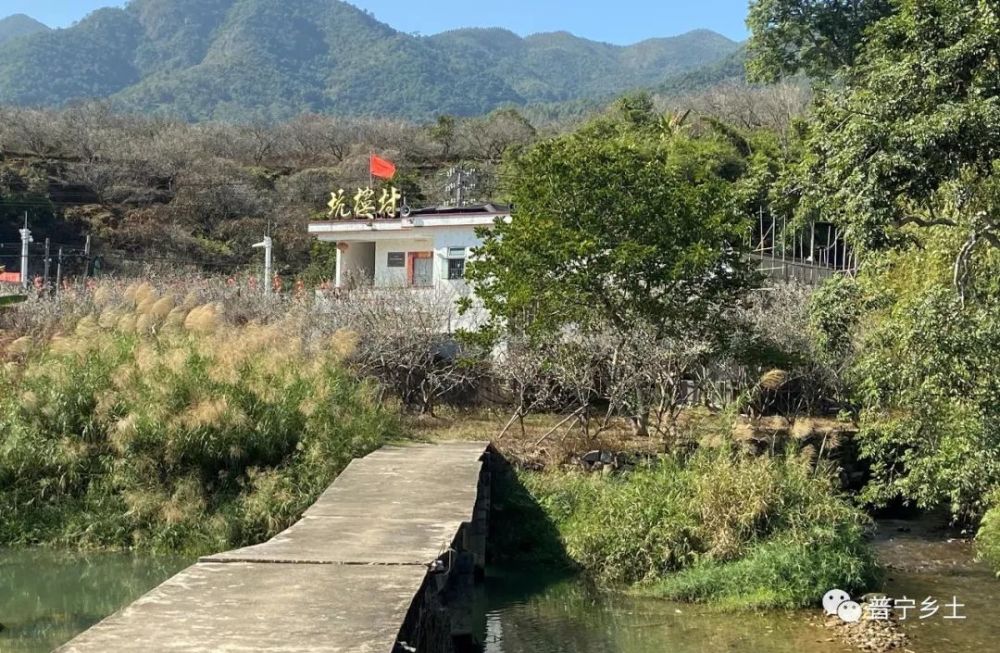 普宁市,美丽乡村建设,梅园,梅林镇,后溪,吉告村