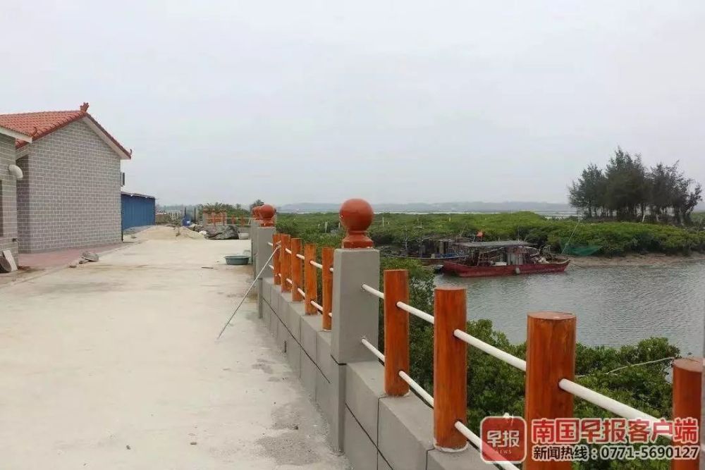 违建,铁山港区,红树林,北海市,营盘镇,邓符