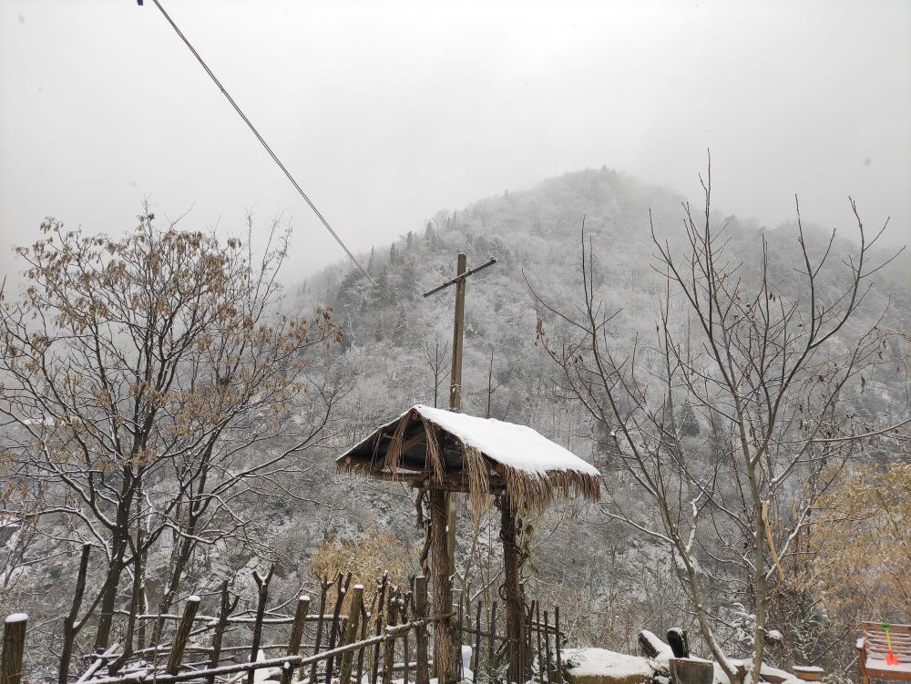 这就是你向往的秦岭终南山隐居生活,看起来很美,这些痛苦谁知道