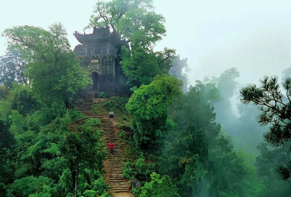 午子山,西乡,山顶,登山