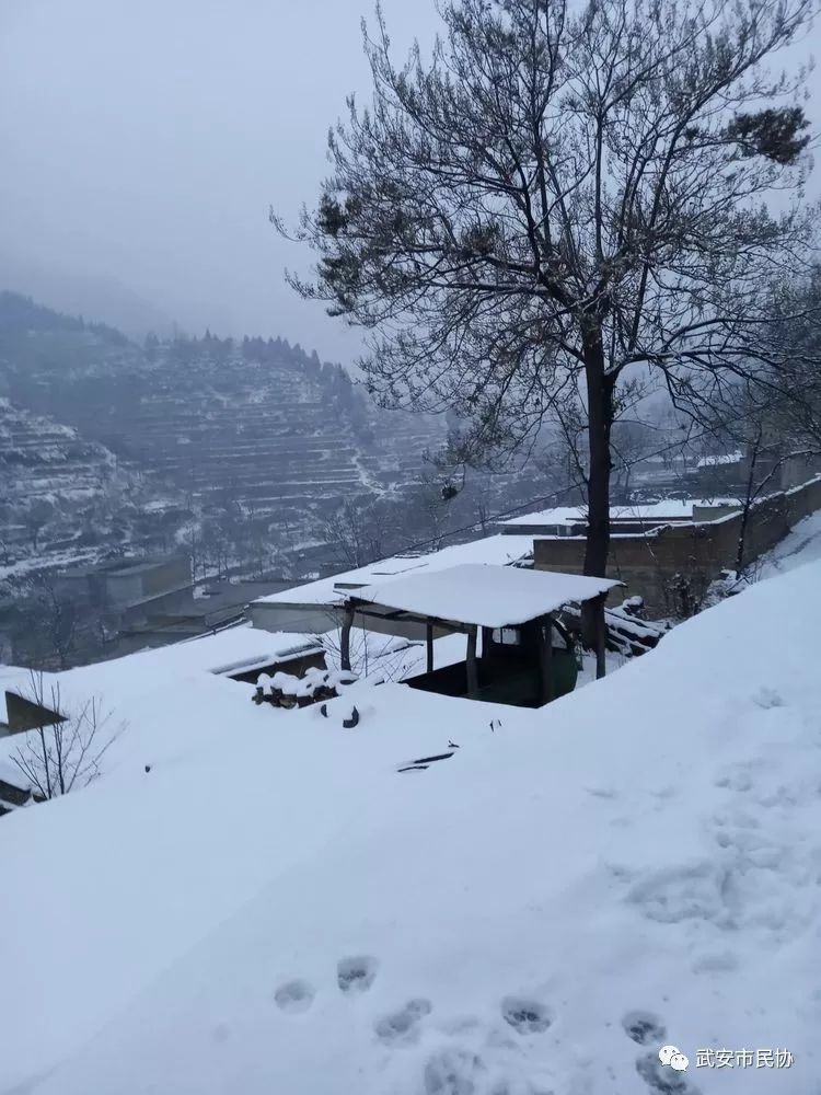 天桥村,雪景,梯田,王成楼,小山村