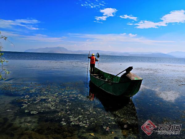 云南大理洱海保护治理今年干五件大事