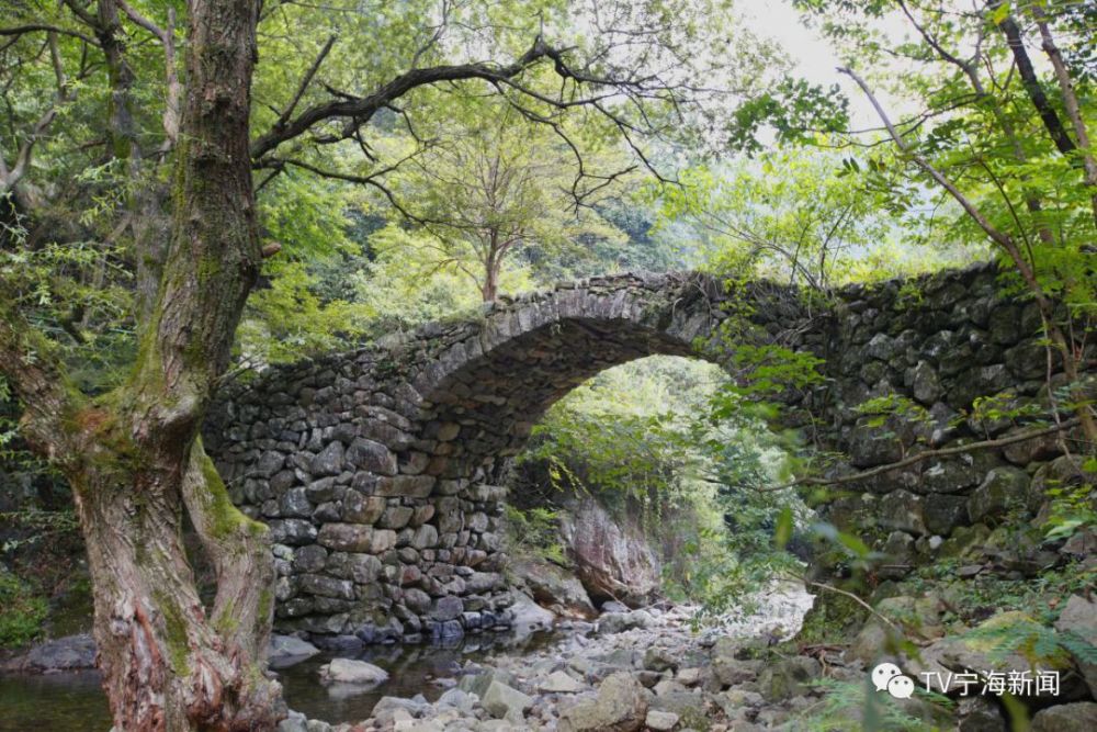 有宁波南溪温泉森林公园,宁海森林温泉,龙宫古村,卧龙湿地,马岙銮驾