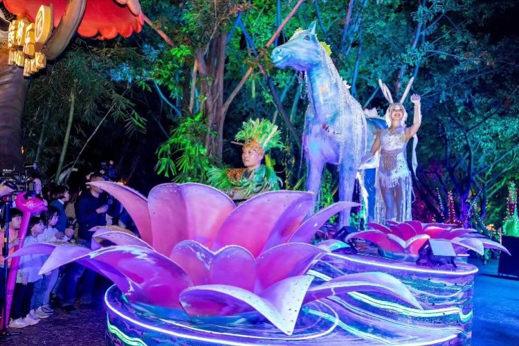 广州长隆,夜间经济,野生动物世界