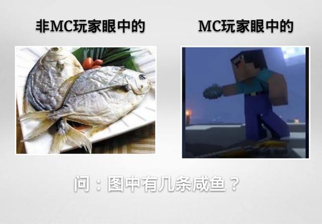 我的世界:mc玩家vs非mc玩家眼中的事物,反差过大,你中招了吗