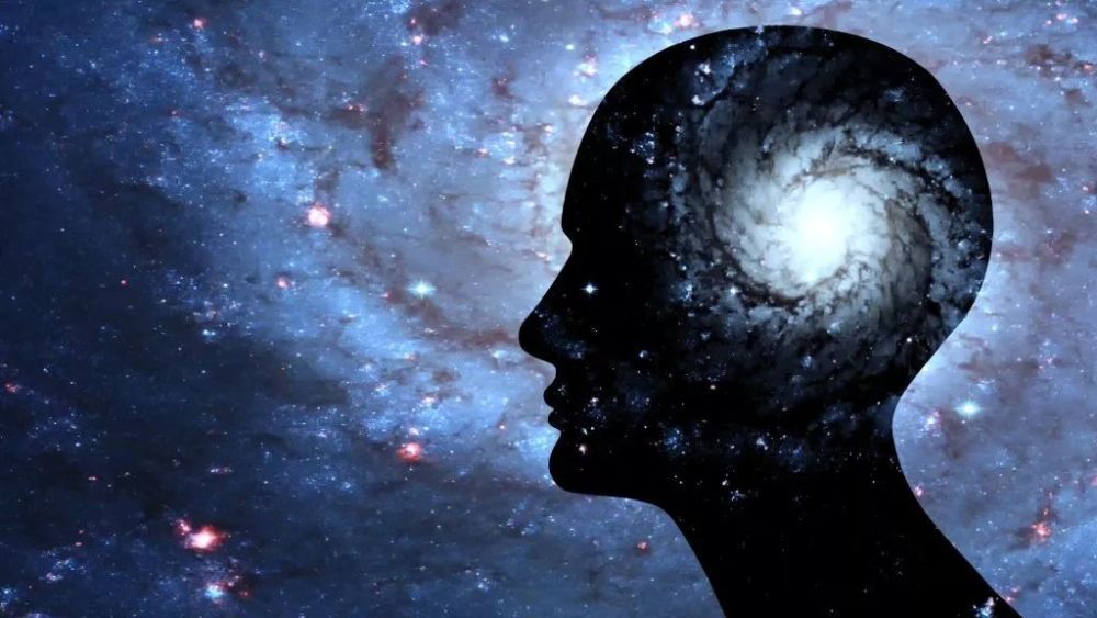 意识只存在于高度进化的生物体的大脑中,因此意识只存在于宇宙的一小