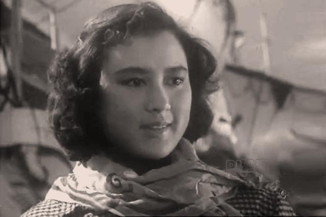 老照片欣赏,57位美女明星,闪亮在50年代老电影中,那时