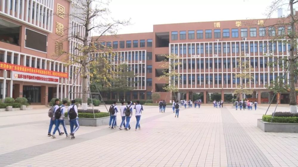 肇庆市文明行为促进条例,教育,大旺中学,条例