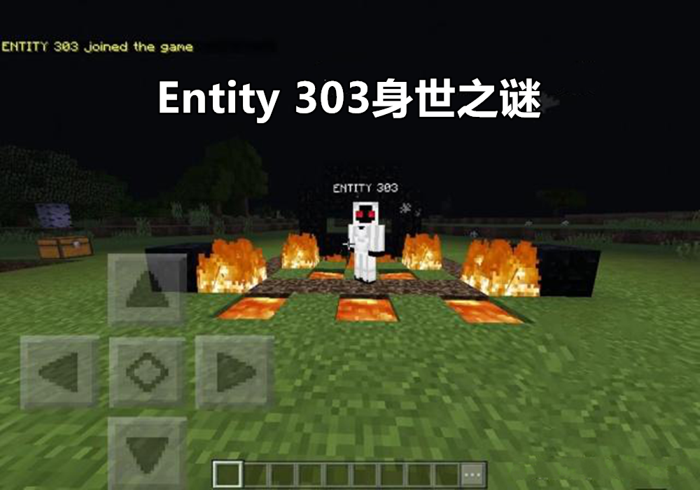 我的世界:mc传说系列的禁忌史,你知道entity303的真正