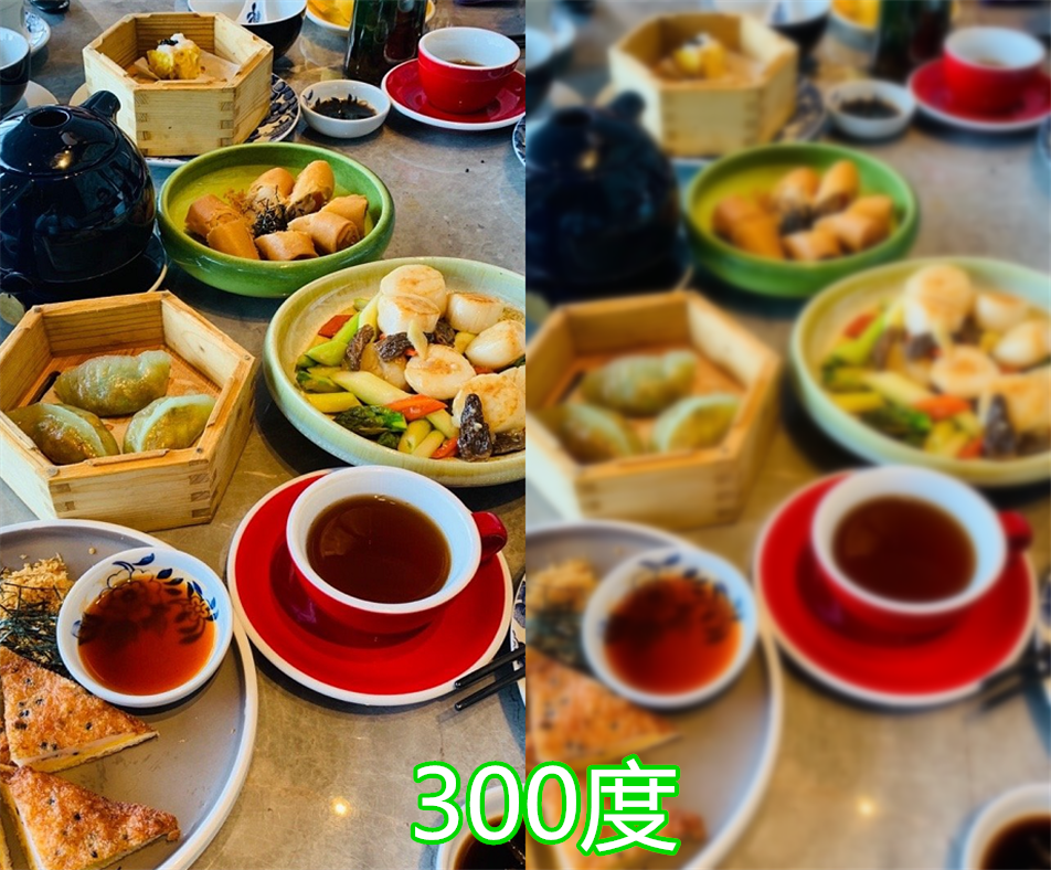 同是"近视眼",100度vs200度,看到500度:借下导盲犬