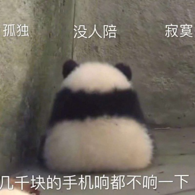 小猫爪表情包,萌萌的姿态太可爱了,请公主殿下签收!