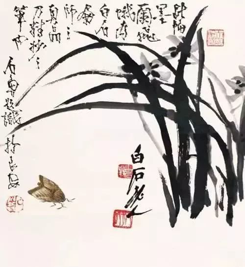 视觉盛宴:绘画大师齐白石笔下的玉兰,蝴蝶兰,兰花