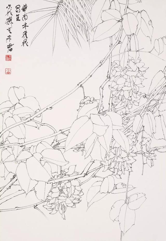 工笔画,花鸟画