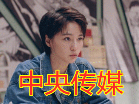 爱妻公寓5,胡一菲,张伟,诸葛大力