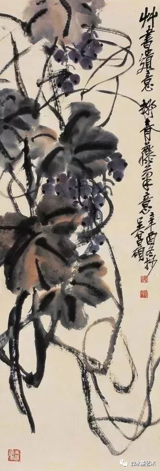 吴昌硕的葡萄,继承了明代徐渭大写意的水墨风格,但又比徐渭的秀雅