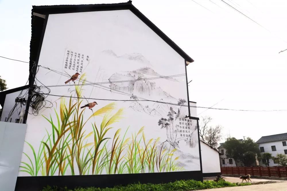 这些具有乡村特色的特色墙画已经成为深入开展改善农村人居环境工作的