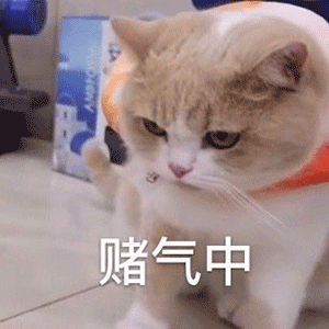 【表情包】今日沙雕表情