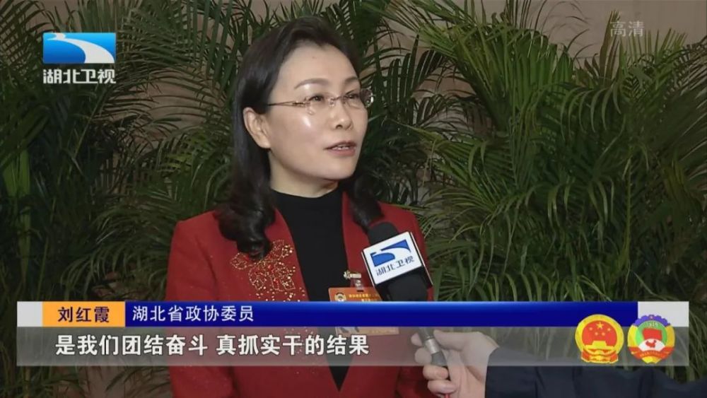 " 省政协委员,黄石市妇联主席 建议让妇联组织在基层社会治理中更好