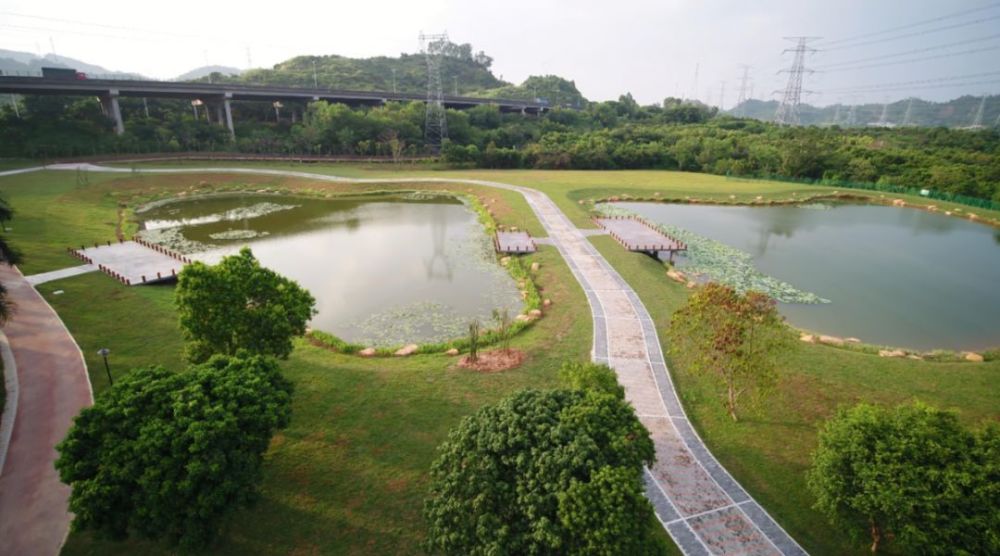 石岩街道,羊台山,石岩湖,城市景观