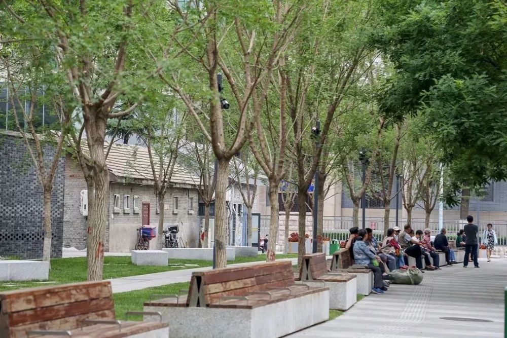 聚焦北京园林绿化工作