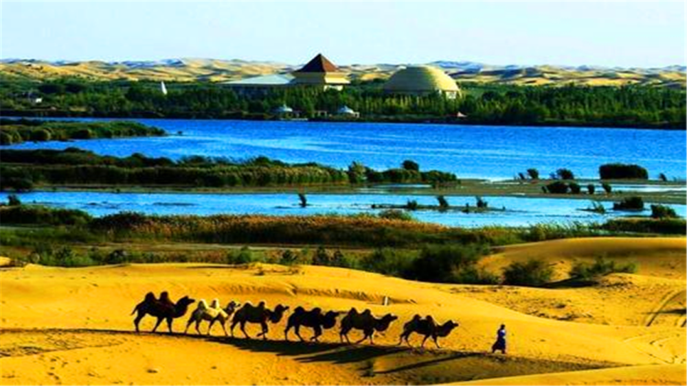 内蒙古,库布齐沙漠,生态环境,荒漠变绿洲