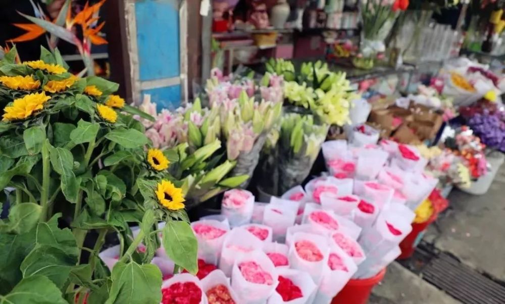 花卉,春节,盆栽,花鸟市场,鲜花