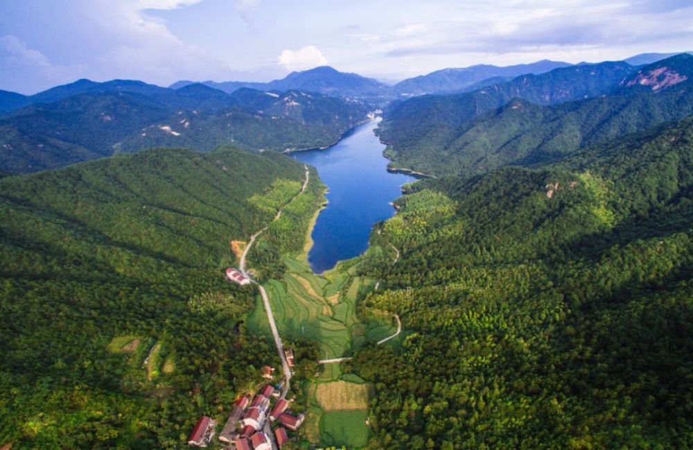 地块,起始价,挂牌,缙云县,国有建设用地,大洋镇