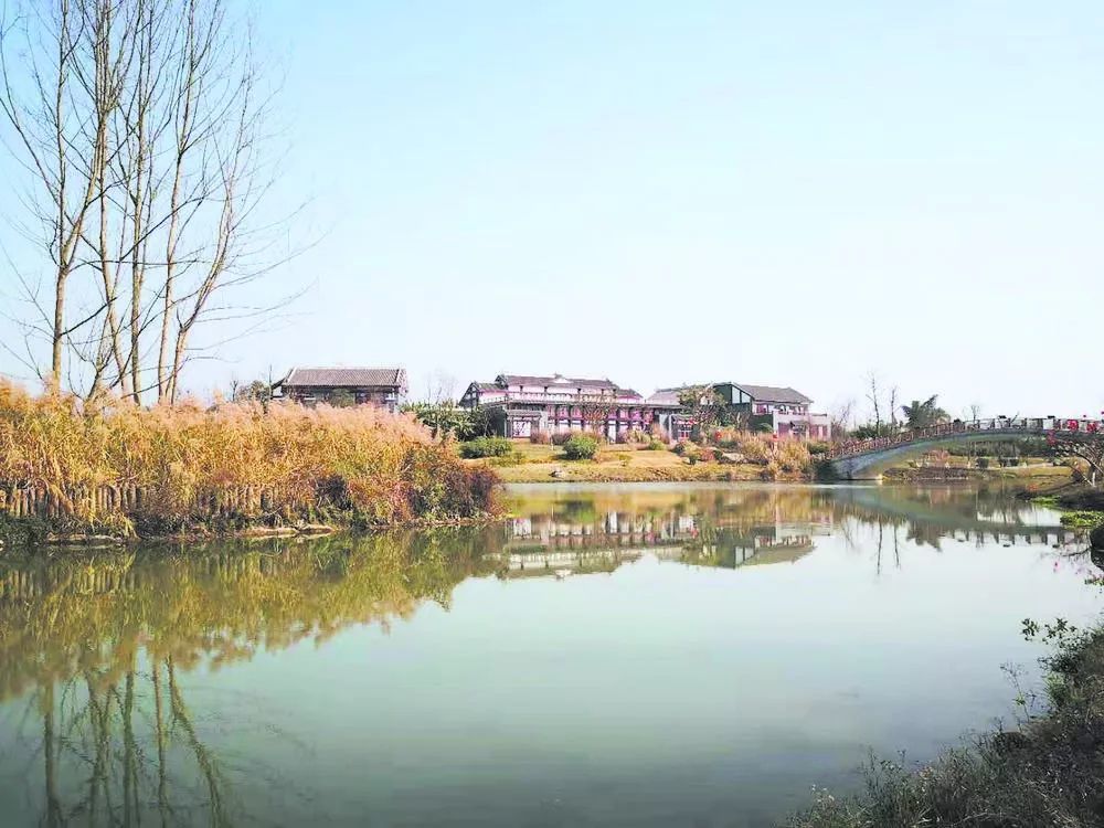 成都首个国家湿地公园新津白鹤滩免费开放!春节去踏青