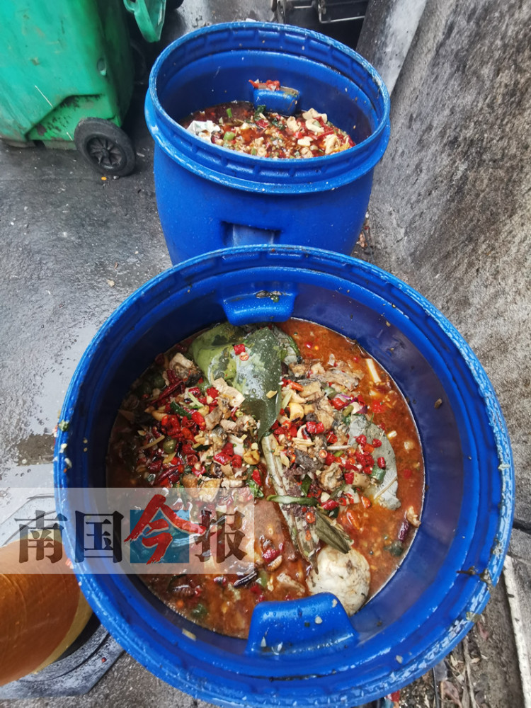 柳州:泔水频倒下水道 "新法"落地遇尴尬