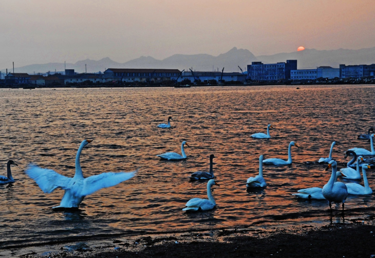 村内gdp_村内服装店照片