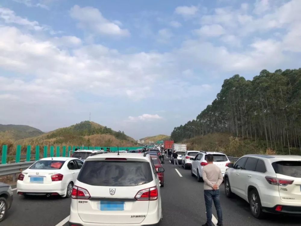 高速公路,梧州,包茂高速,g80广昆高速