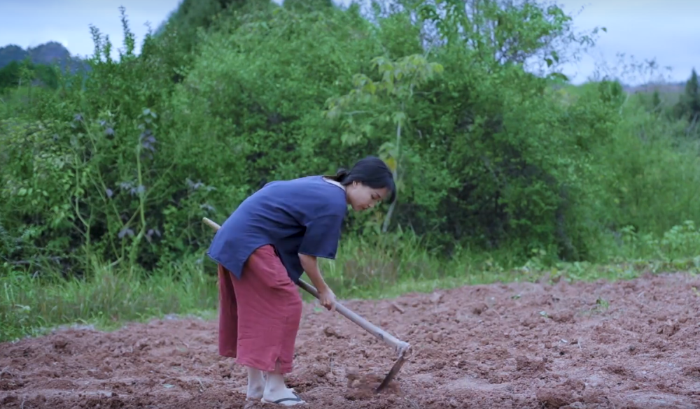 李子柒"种地"穿拖鞋,不怕伤到脚?粉丝朋友说出真相:不