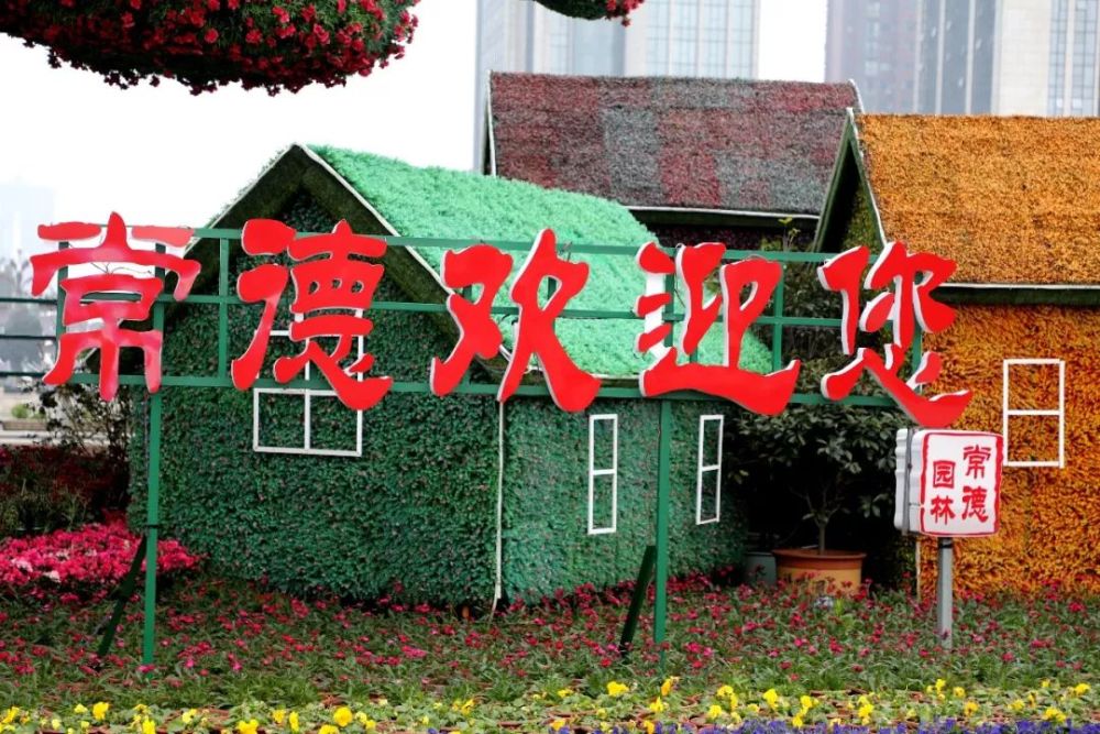 常德欢迎您—鲜花美景扮靓大美常德城